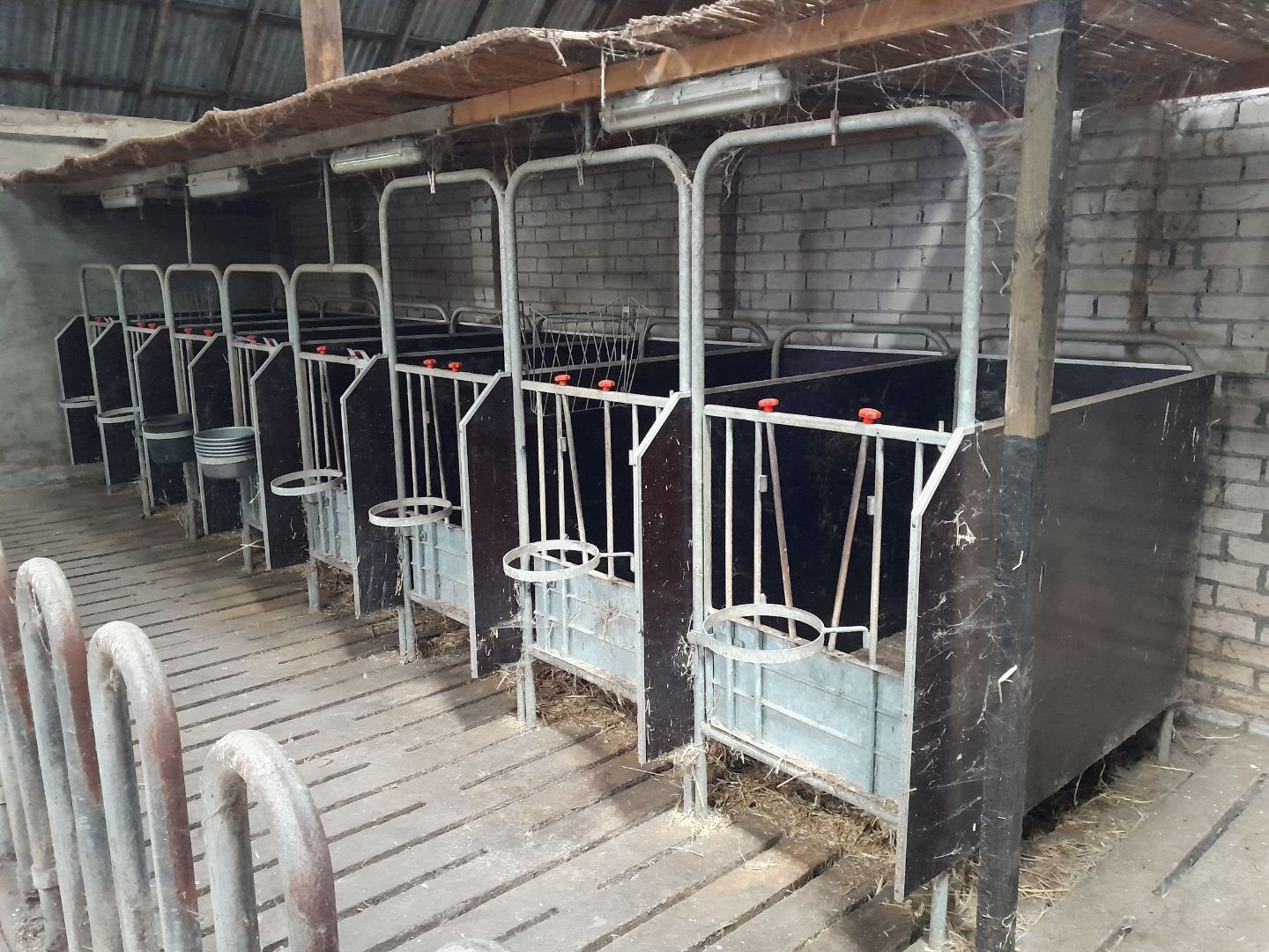 Kalverhokjes 8 stuks