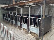 Kalverhokjes 8 stuks