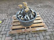 Boumatic melkklauwen